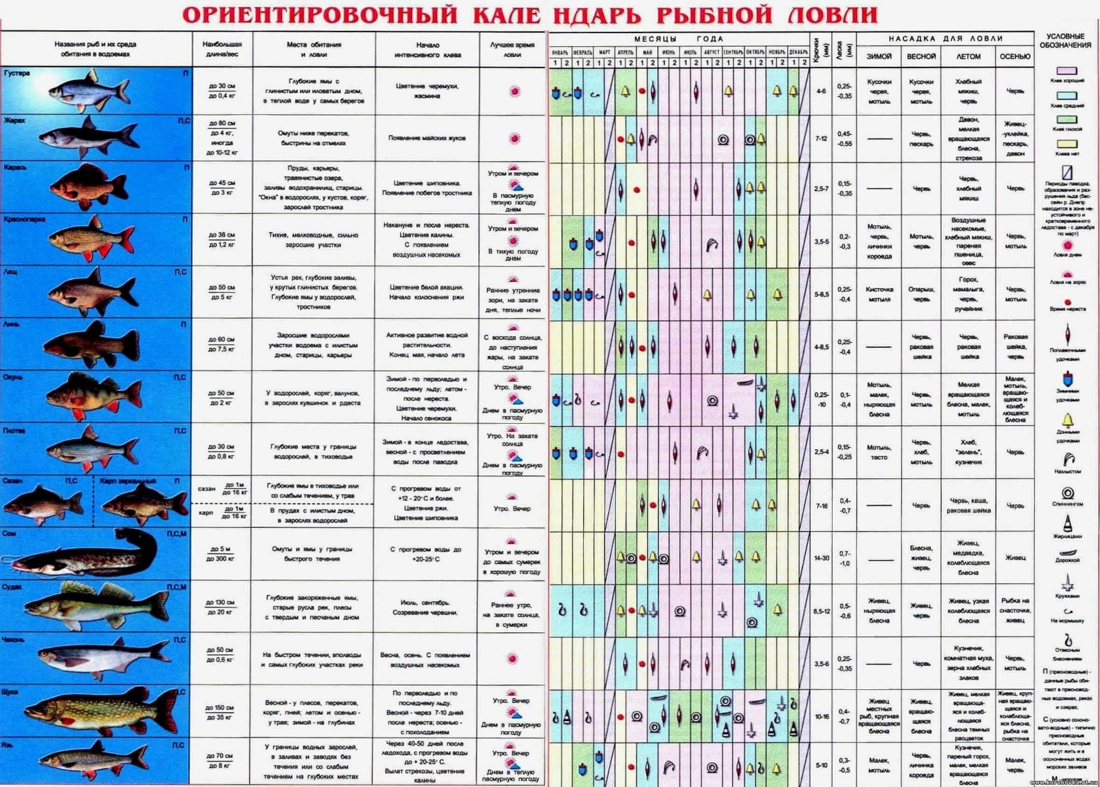 клёв рыбы на завтра по нижегородской области клёв рыбы на завтра по нижегородской области