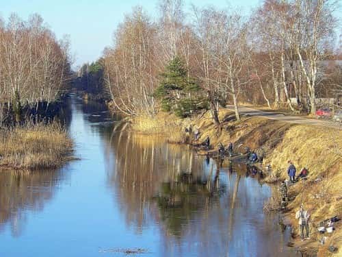 Рыбалка весной с берега