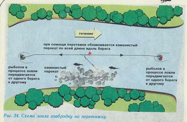 Ловим жереха на перетяжку