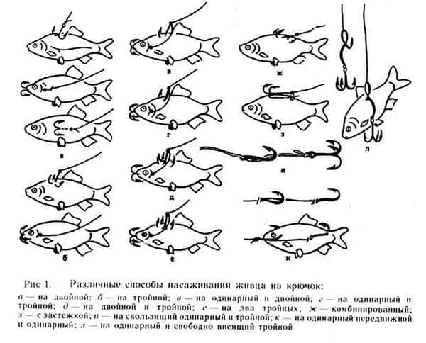 Ловля щуки на зимнюю жерлицу