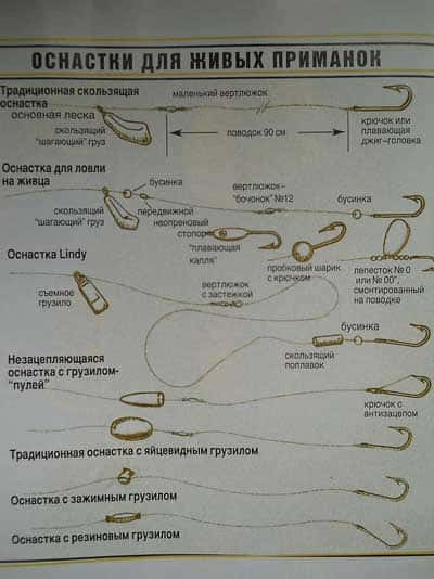 Ловля судака на мертвую рыбку