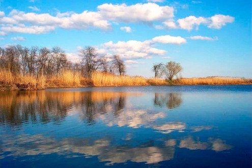 Рыбалка в апреле