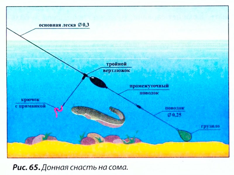 Ловля сома ночью на донку