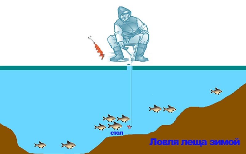 Где леща зимой. Рыбалка на леща зимой. Снасть для ловли леща зимой на водохранилище. Места ловли леща зимой на водохранилище. Места кормежки леща зимой.