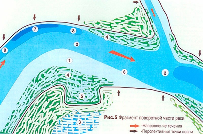 Места лова рыбы. Стоянки леща на реке летом. Перспективные места для ловли. Перспективные места для рыбалки на реке. Перспективные места ловли рыбы на реке.