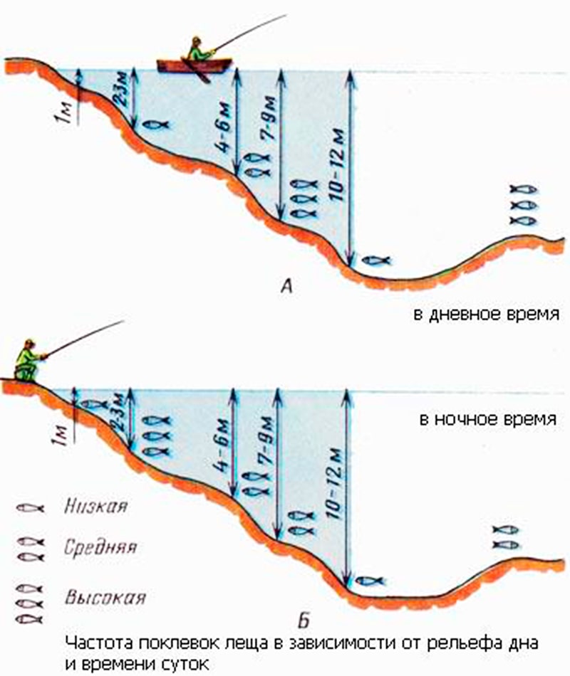 Где искать леща на реке - советы и рекомендации