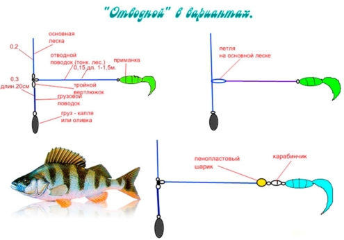 Ловля окуня на отводной поводок