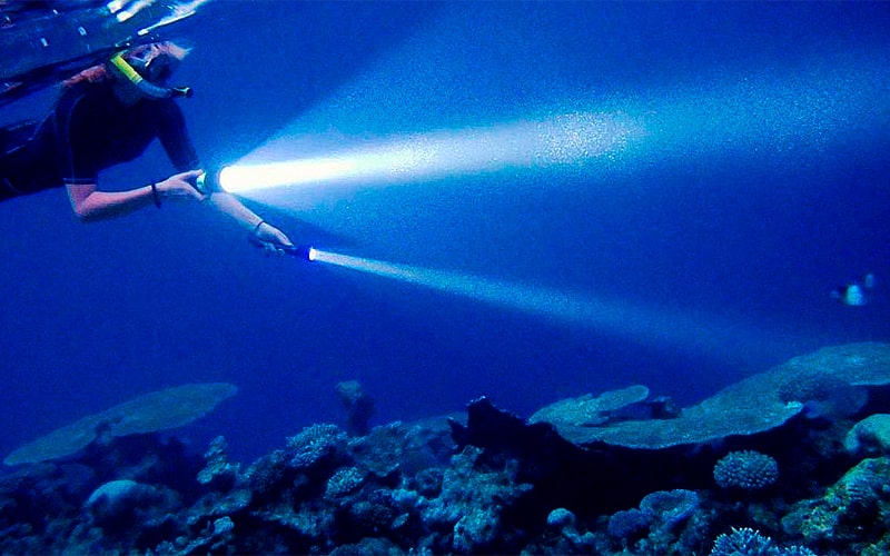 обзор фонарей для подводной охоты видео