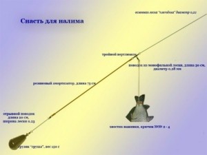 Способы ловли налима - Секреты успешной рыбалки Способы ловли налима - Секреты успешной рыбалки