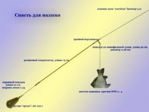 Способы ловли налима - Секреты успешной рыбалки