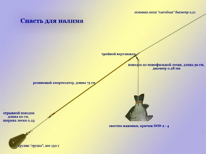 Ловля на донку весной. Ловля налима снасть оснастка рыбалка. Донная удочка на налима. Оснастка донки на налима. Оснастка донки на налима на течении.