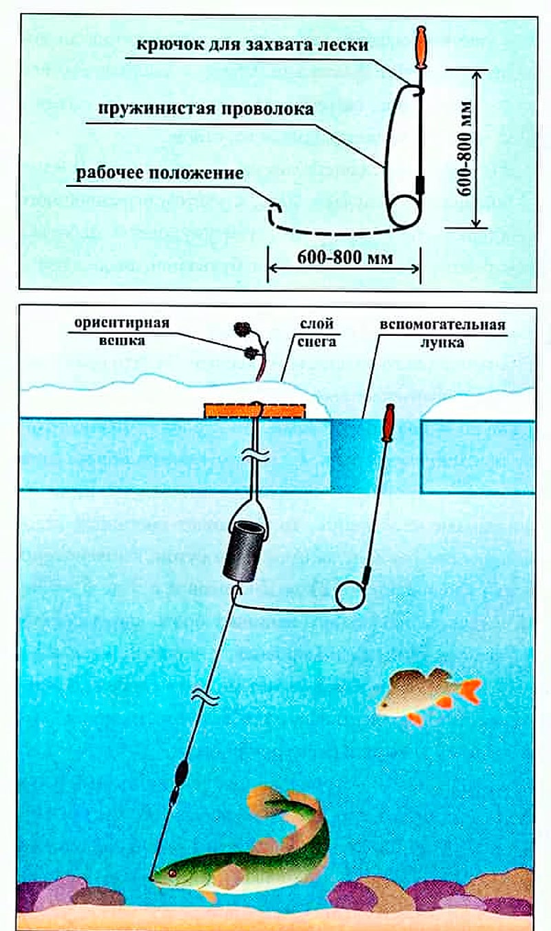 Донная снасть резинка. Как ловить на резинку
