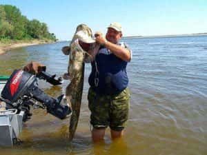 Как ловить сома - Секреты успешной рыбалки