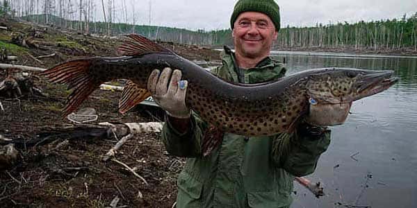 Карта рыболовных мест Амурской области