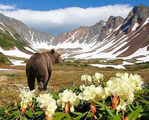 Карта рыболовных мест Камчатского края