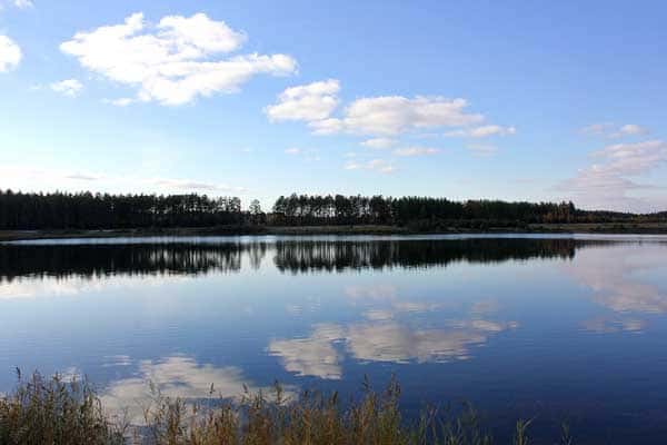 Карта рыболовных мест Курганской области