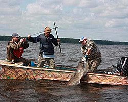 Снасти для ловли сома с берега и с лодки