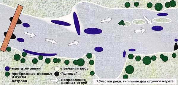 Схема стоянки жереха