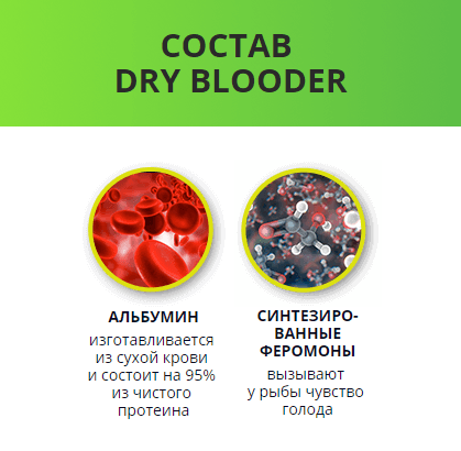 Dry Blooder зимний