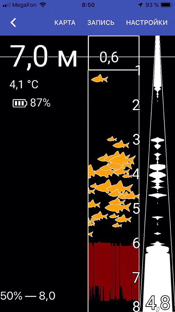 Показания эхолота