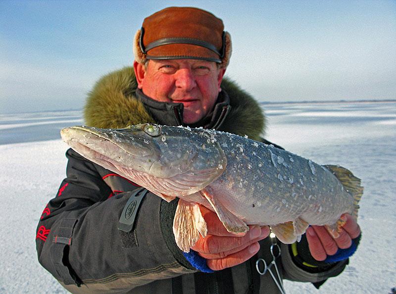 Ваучер Степаныча