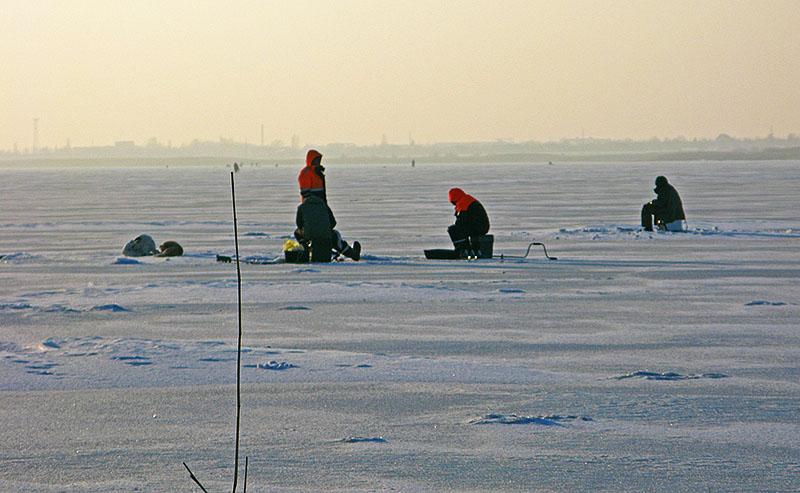 Ловля Окуня на Варваровском Водохранилище 30.01.2019