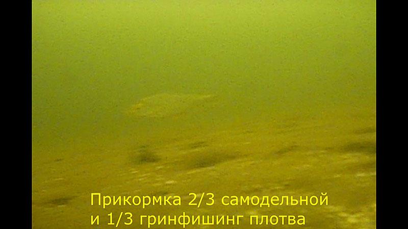 Рыбалка на Можайском водохранилище