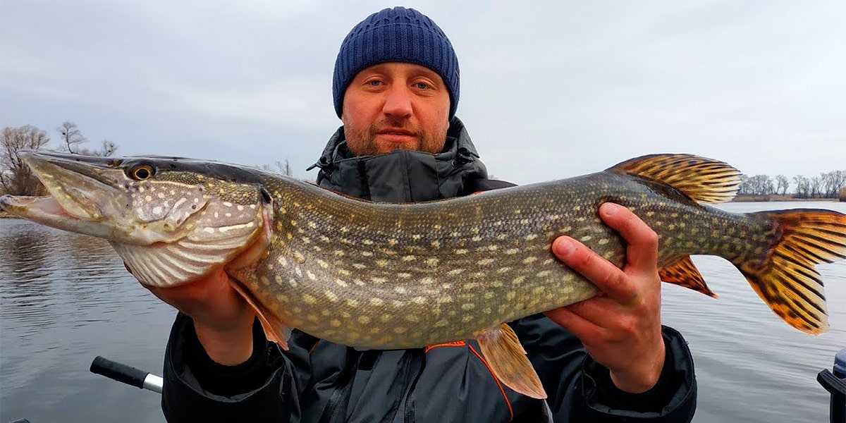 Рыбалка на Украине