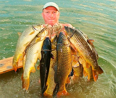 Сазаны