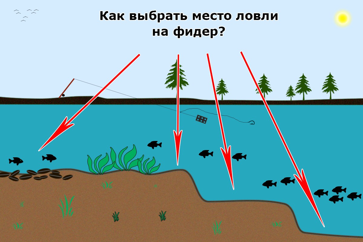 Места ловли карася. Перспективные места для ловли. Место ловли на фидер. Как выбрать место для ловли на фидер. Перспективные места на реке для ловли на фидер.