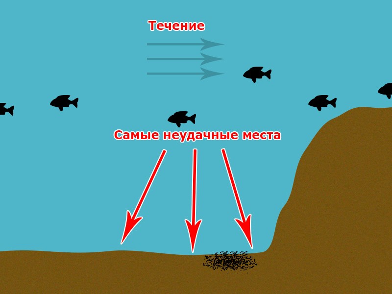 Неудачное место ловли на фидер