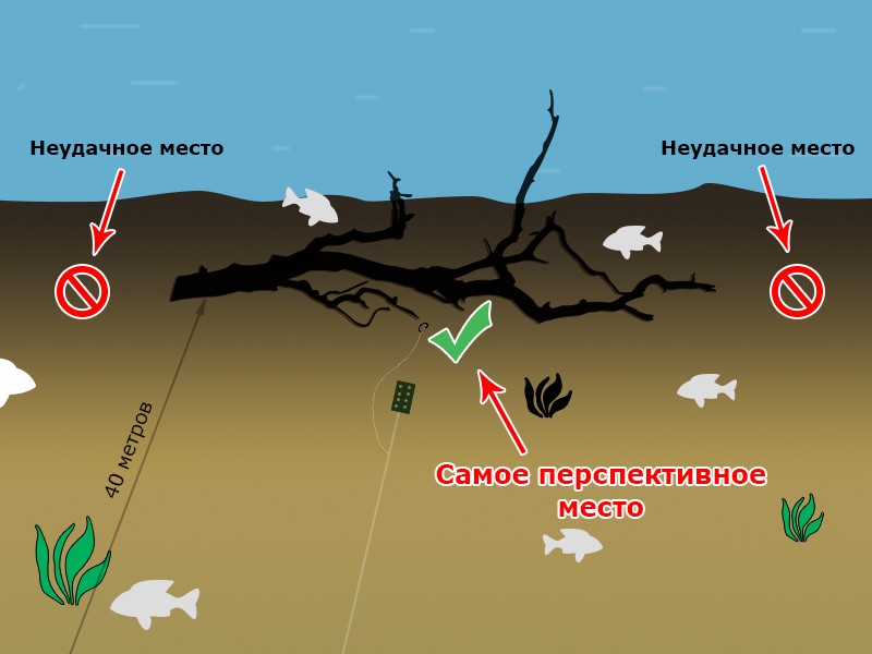 Точка ловли с корягой