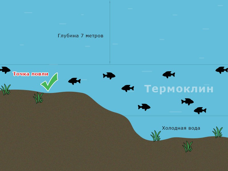 Термоклин