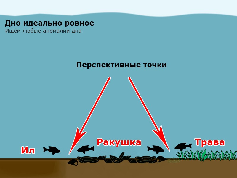 Ровное дно с аномалиями