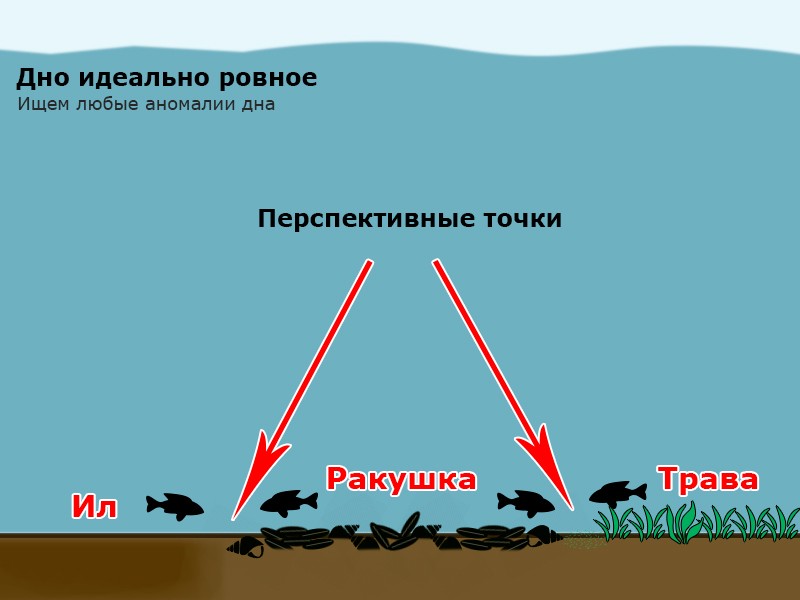 Бровка на реке: особенности и нюансы рыбалки на этом виде водоема