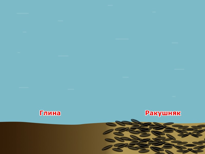 Глина - ракушняк