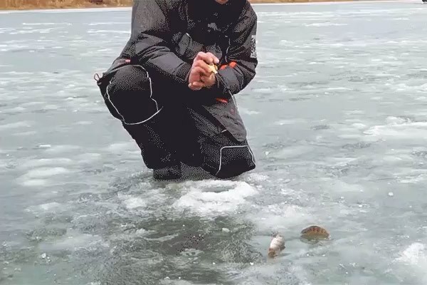 Ловля окуня по первому льду