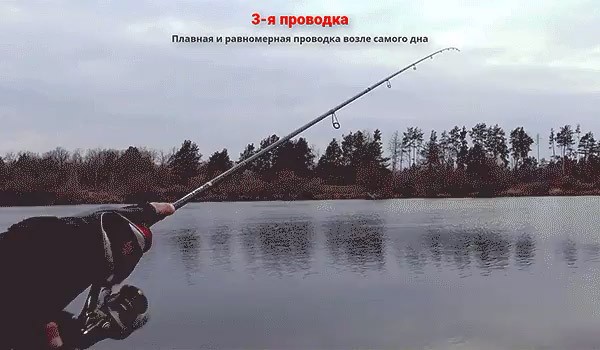 Осенняя ловля судака с берега